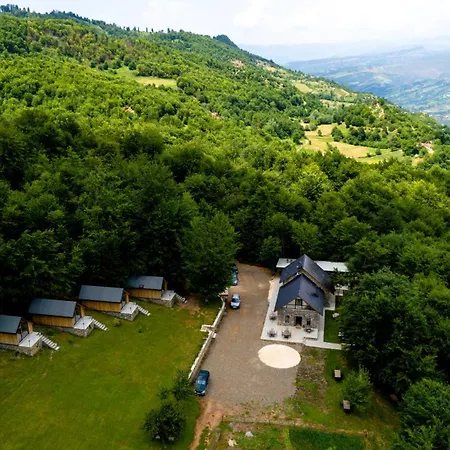 Hani Cepit * Librazhet