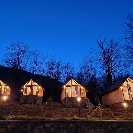 Hani Cepit * Librazhet