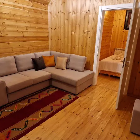 Hani Cepit * Librazhet