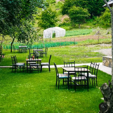 Hani Cepit * Librazhet