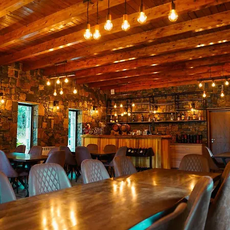 Hani Cepit * Librazhet