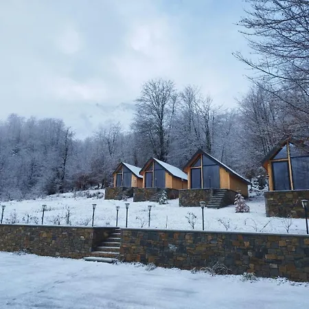 Hani Cepit * Librazhet