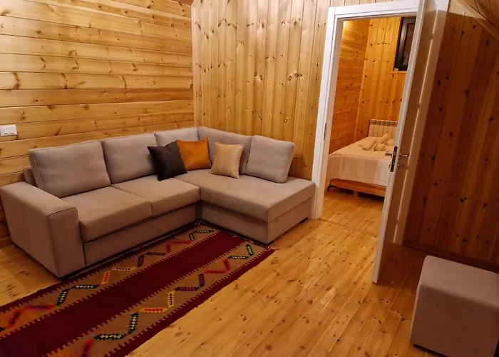 Hani Cepit * Librazhet