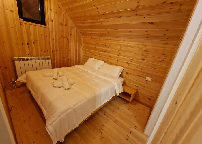 Hani Cepit Librazhet