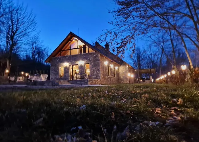 Hani Cepit * Librazhet