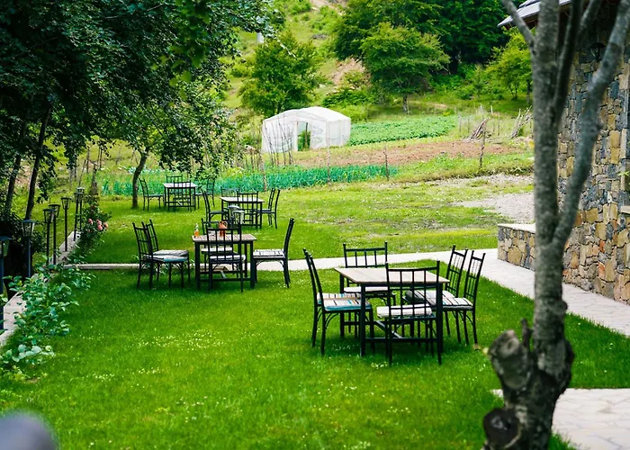 Hani Cepit * Librazhet