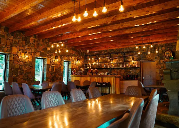 Hani Cepit * Librazhet