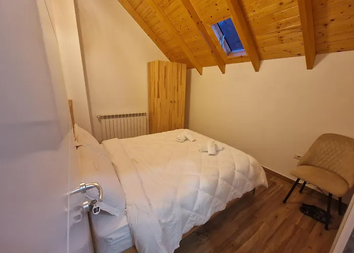 Hani Cepit * Librazhet