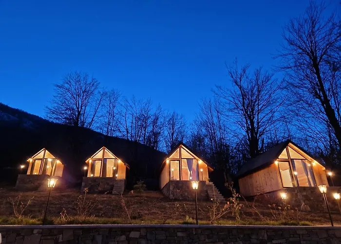 Hani Cepit * Librazhet